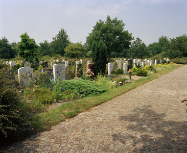 822083 Afbeelding van enkele (begroeide) graven op de 4e Algemene Begraafplaats Daelwijck (Floridadreef 11) te Utrecht.